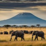 kenya and tourism