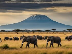 kenya and tourism